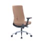 Executive Low Back Chair - AOF-AGT366BROWN-LB
