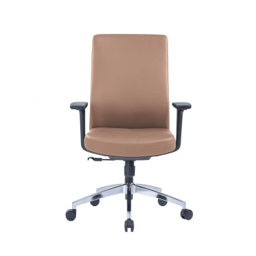 Executive Low Back Chair - AOF-AGT366BROWN-LB