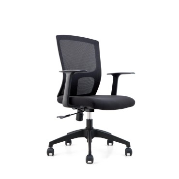 LOW BACK MESH CHAIR - AOF-AGT183-LB