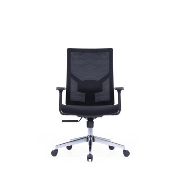 ERGONOMIC LOW BACK CHAIR - AOF-AGT226BBLACK-LB