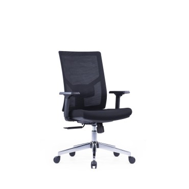ERGONOMIC LOW BACK CHAIR - AOF-AGT226BBLACK-LB