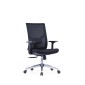 ERGONOMIC LOW BACK CHAIR - AOF-AGT226BBLACK-LB