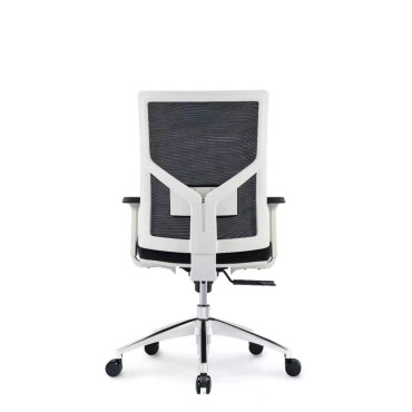 ERGONOMIC LOW BACK CHAIR - AOF-AGT226BWHITE-LB