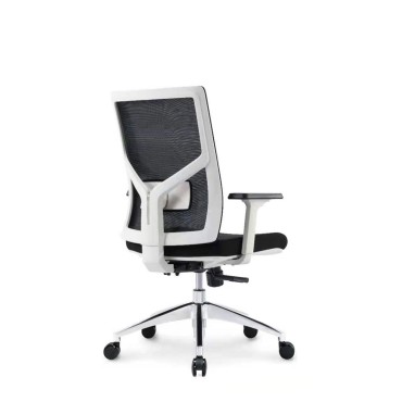 ERGONOMIC LOW BACK CHAIR - AOF-AGT226BWHITE-LB