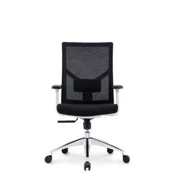 ERGONOMIC LOW BACK CHAIR - AOF-AGT226BWHITE-LB