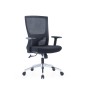 OFFICE LOW BACK CHAIR - AOF-AGT229-LB