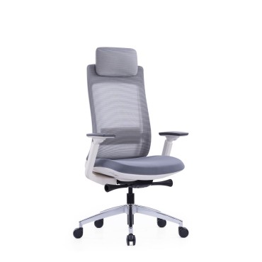 HIGH BACK OFFICE CHAIR - AOF-AGTEVL004-HB