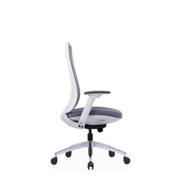 LOW BACK OFFICE CHAIR - AOF-AGTEVL004-LB