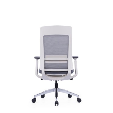 LOW BACK OFFICE CHAIR - AOF-AGTEVL004-LB