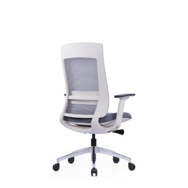 LOW BACK OFFICE CHAIR - AOF-AGTEVL004-LB