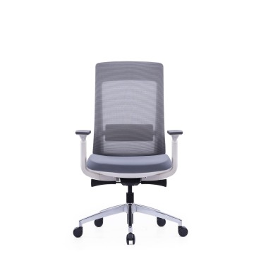 LOW BACK OFFICE CHAIR - AOF-AGTEVL004-LB