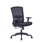LOW BACK MESH CHAIR- AOF-AGTU037B-LB