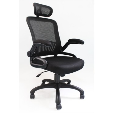Executive Office Chair - AOF-AGT-901