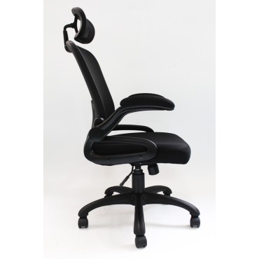 Executive Office Chair - AOF-AGT-901