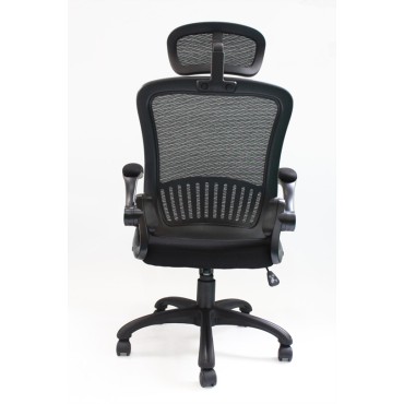 Executive Office Chair - AOF-AGT-901