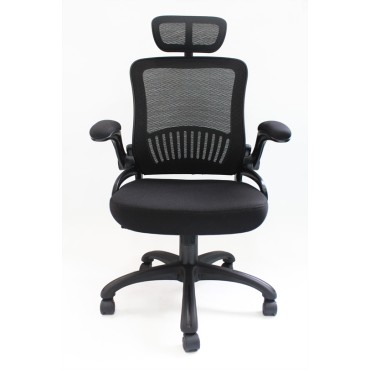 Executive Office Chair - AOF-AGT-901