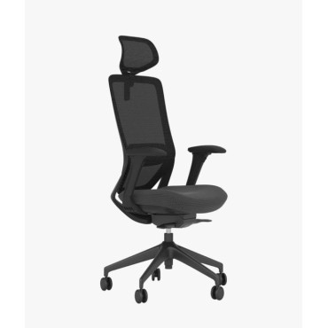 Executive Office Chair - AOF-AGT-SHIFT