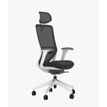 Executive Office Chair - AOF-AGT-SHIFT