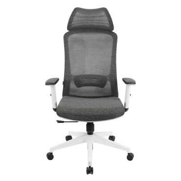 AOF-AGT5129322-HB - ERGONOMIC HIGH BACK MESH CHAIR