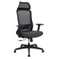 AOF-AGT5129322-HB - ERGONOMIC HIGH BACK MESH CHAIR