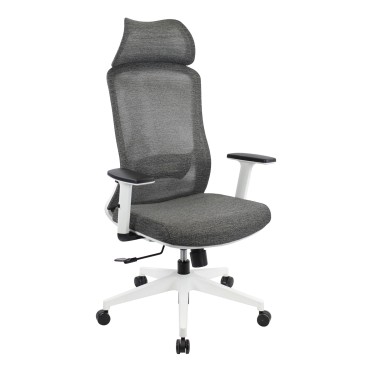 AOF-AGT5129322-HB - ERGONOMIC HIGH BACK MESH CHAIR
