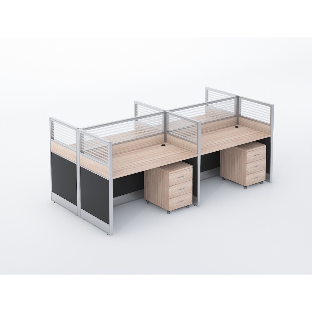 Customized Workstation 