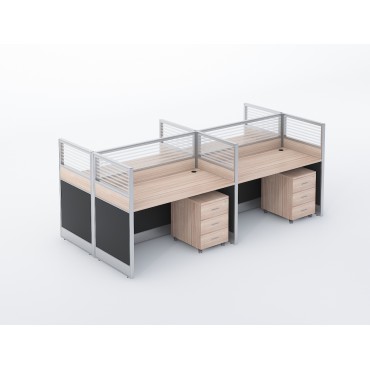 Customized Workstation 